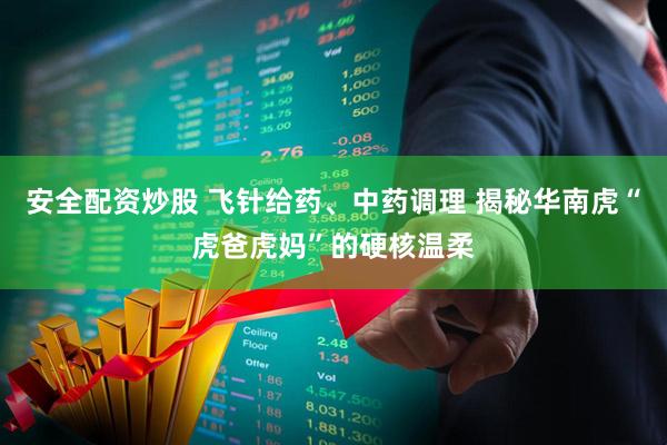 安全配资炒股 飞针给药、中药调理 揭秘华南虎“虎爸虎妈”的硬核温柔