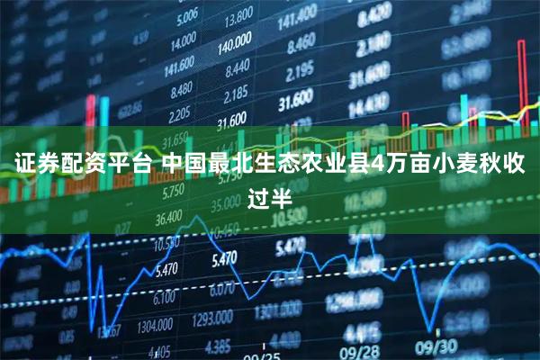 证券配资平台 中国最北生态农业县4万亩小麦秋收过半