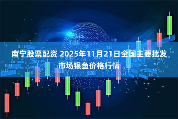 南宁股票配资 2025年11月21日全国主要批发市场银鱼价格行情