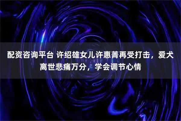 配资咨询平台 许绍雄女儿许惠菁再受打击，爱犬离世悲痛万分，学会调节心情